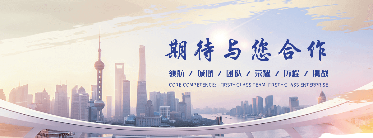 霖立模型(阜城运营中心)